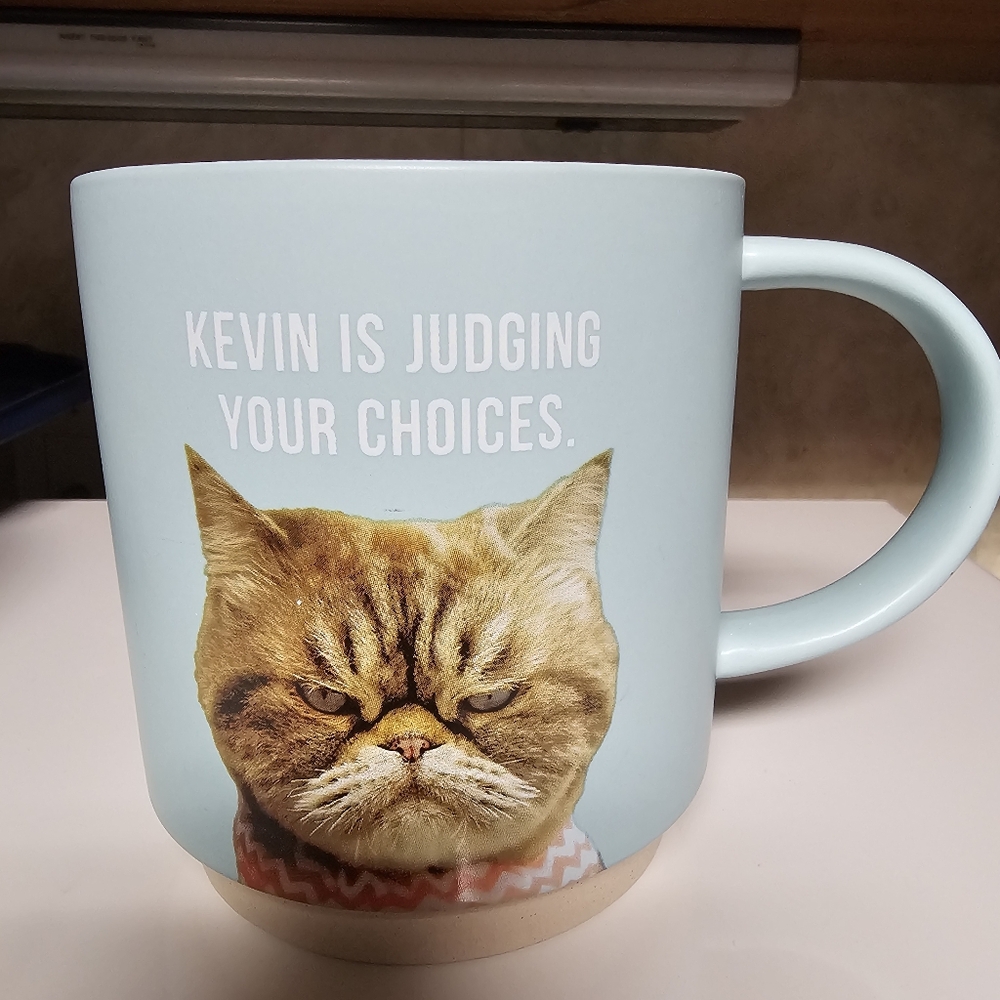 Hallmark Shoebox Cat Mug